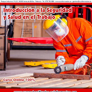 curso-bonificado-seguridad-laboral