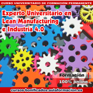 experto-universitario-lean-manufacturing-industria-40