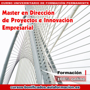 master-direccion-proyectos-innovacion