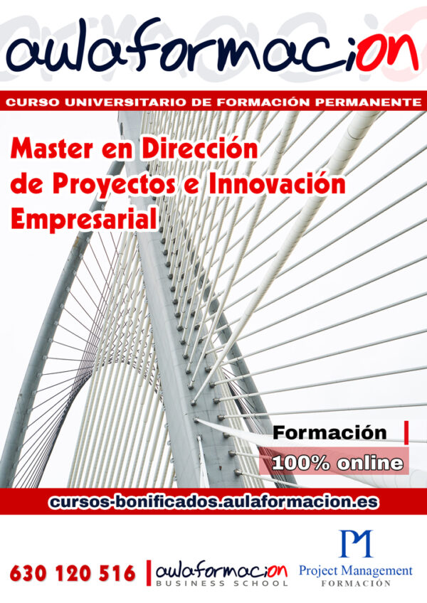 master-direccion-proyectos-innovacion
