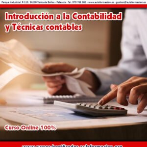cursos-bonificados-introduccion-contabilidad-tecnicas-contables