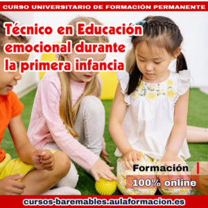 tecnico-en-educacion-emocional-durante-la-primera-infancia
