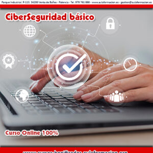curso-bonificado-ciberseguridad-basico