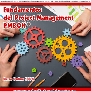 curso-bonificado-fundamentos-project-management-pmbok