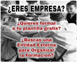 FUNDAE-EMPRESAS-AULAFORMACION
